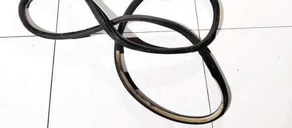 Citroen C4 Grand Picasso Rubber seal front coupe door 