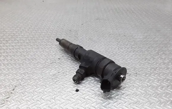 Peugeot 207 Fuel injector 0445110252