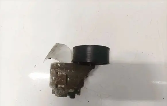 Iveco Daily 40.8 Generator/alternator belt tensioner