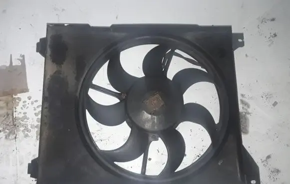 Hyundai Trajet Electric radiator cooling fan F00S3C2166