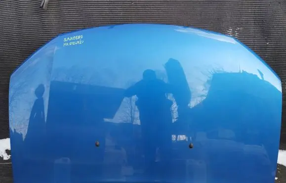Renault Sandero II Engine bonnet/hood TERPL