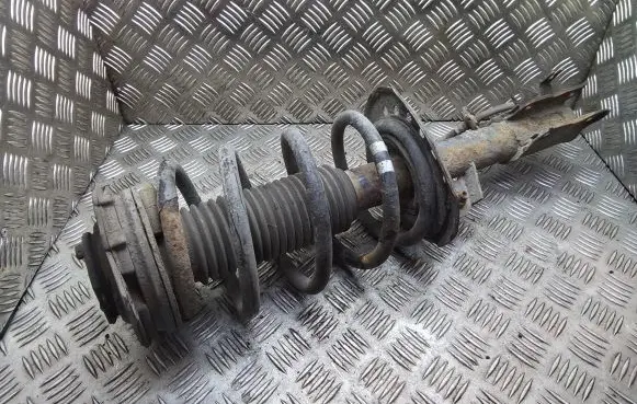 Nissan Qashqai+2 Front shock absorber with coil spring 824903006383 54302EY17C