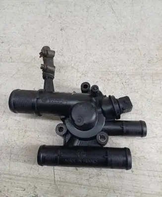 Thermostat/thermostat housing