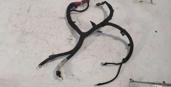 Engine installation wiring loom
