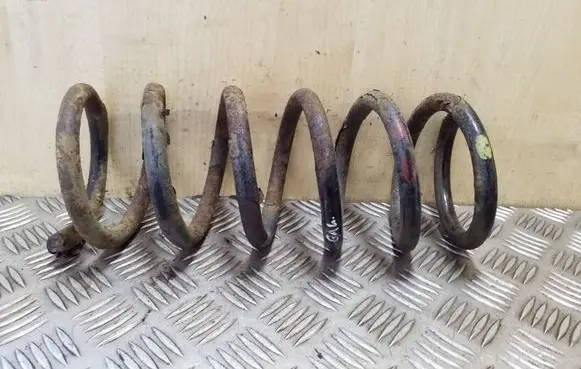 Opel Antara Rear coil spring