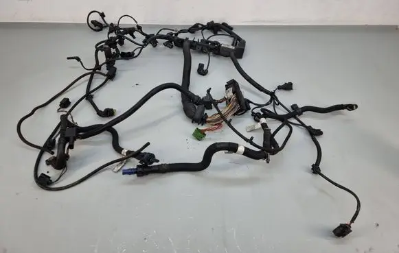 Engine installation wiring loom