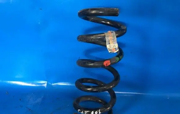 Ford Mustang VI Rear coil spring JR3Z5560F