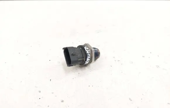 Hyundai Santa Fe Fuel pressure sensor 0281002706