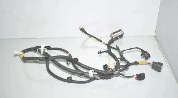 Tesla Model 3 Other wiring loom 206796801B 2067968 106796300D