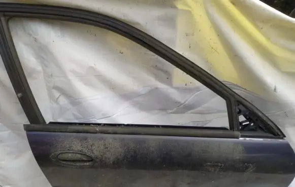 Renault Laguna I Front door MELYNOS