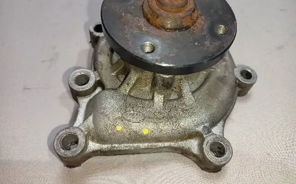 KIA Carnival Water pump 25100-4X900