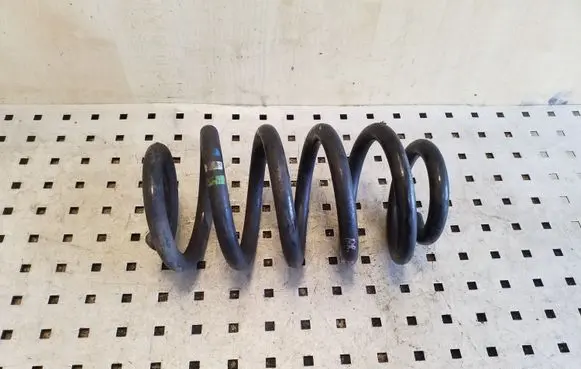 Front coil spring