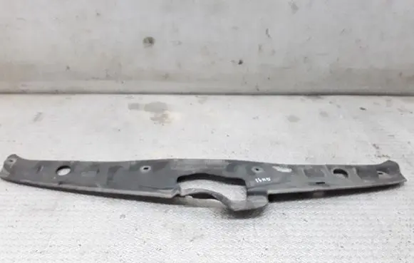 Engine bonnet/hood lock trim molding