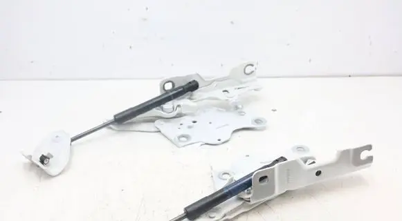 BMW X6 G06 Engine bonnet/hood hinges 7418202MWGK1407 7418202