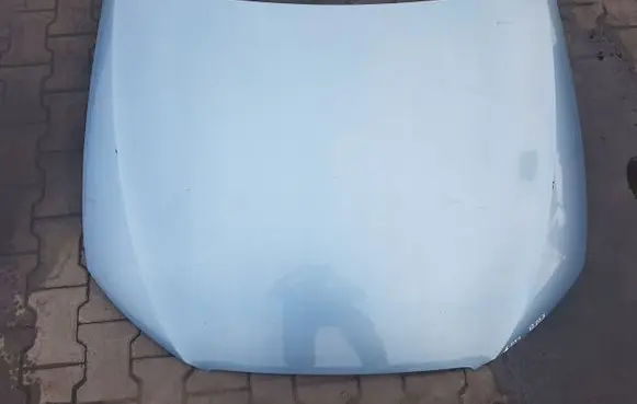 Engine bonnet/hood