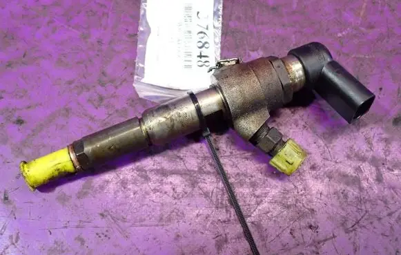 Citroen C3 Fuel injector