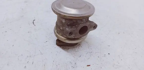 Volkswagen Touareg I EGR valve