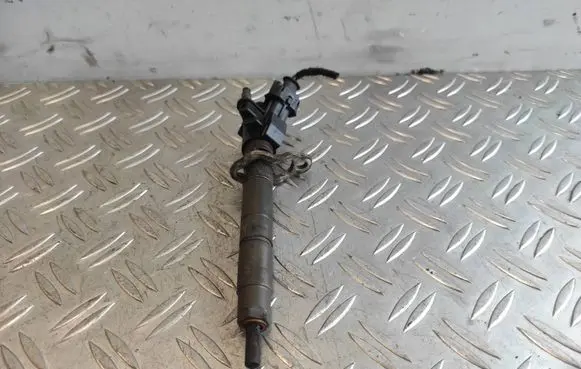 Volvo XC60 Fuel injector 31272767