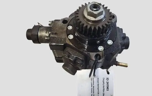 Nissan Qashqai+2 In-tank fuel pump H8200690744