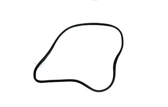 BMW 3 G20 G21 Front door rubber seal 7407373