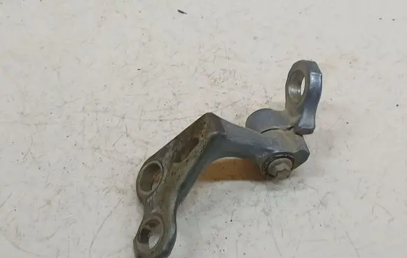 Ford Focus C-MAX Rear door lower hinge