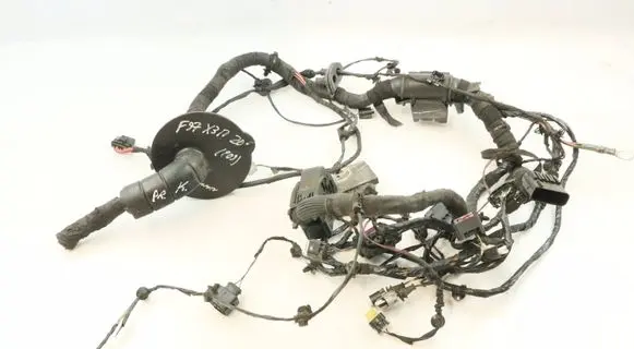 BMW X3M F97 Other wiring loom 6829042