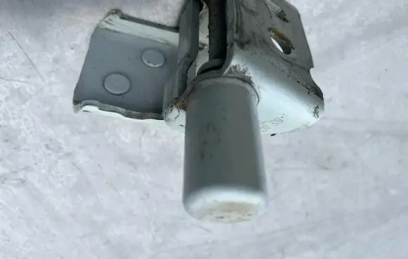 Renault Zoe Rear door lower hinge 864611