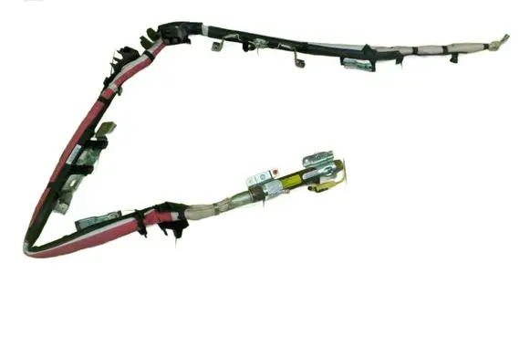 Honda Insight Roof airbag 