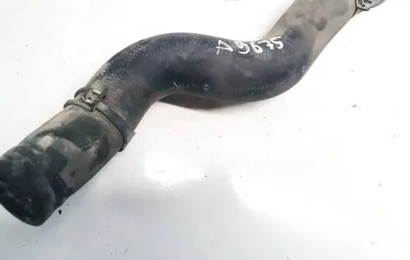 Infiniti QX50 (J50) Engine coolant pipe/hose