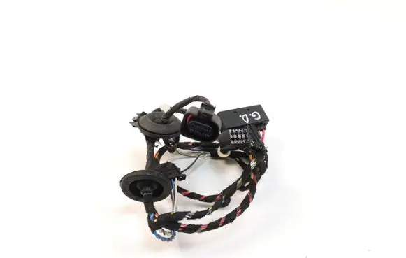 Rear door wiring loom