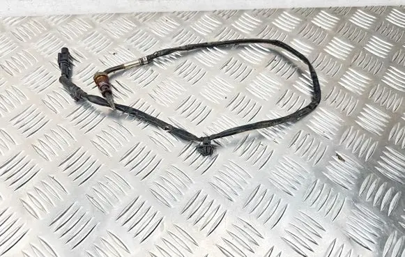 Hyundai Kona I Exhaust gas temperature sensor 39230040S0