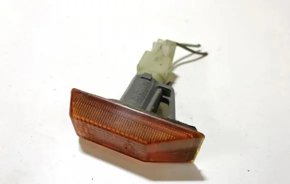 Front fender indicator light