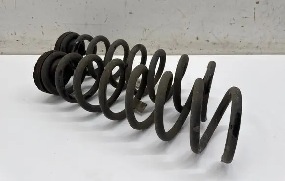 Rear coil spring