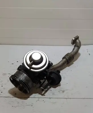 Seat Alhambra (Mk1) EGR valve 038131501AA 273221146