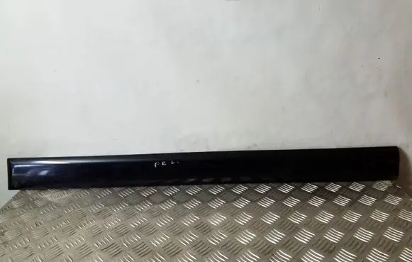 Front door trim (molding)