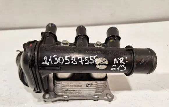 Renault Austral Coolant radiator 213058755R