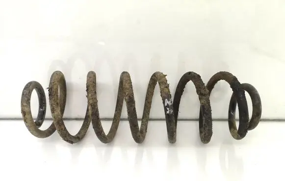 Rear coil spring