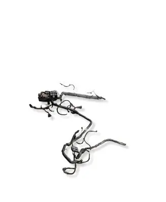 Ford Mustang V Other wiring loom DR3T14290AE