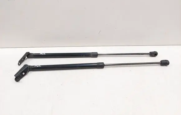 Nissan Murano Z51 Tailgate/trunk strut/damper 91845550N 1197045
