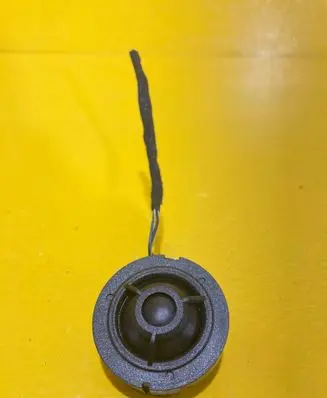 Front door speaker