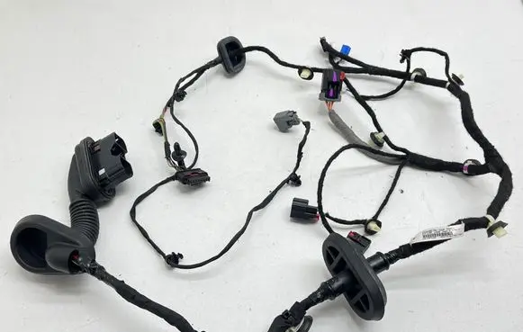 Front door wiring loom