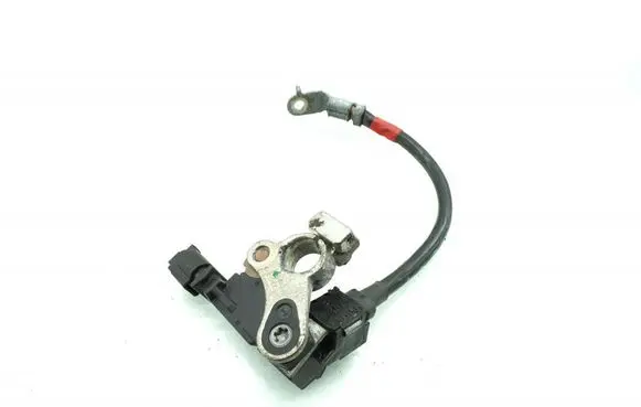 Other wiring loom