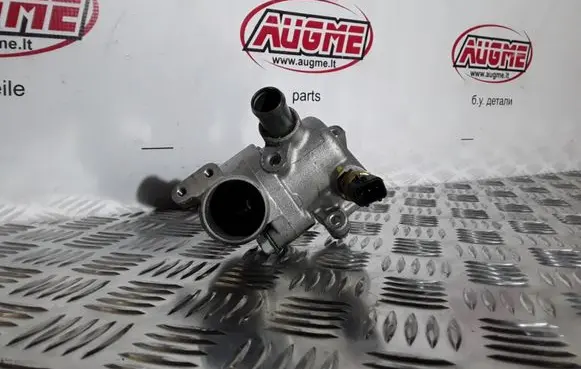 Thermostat/thermostat housing