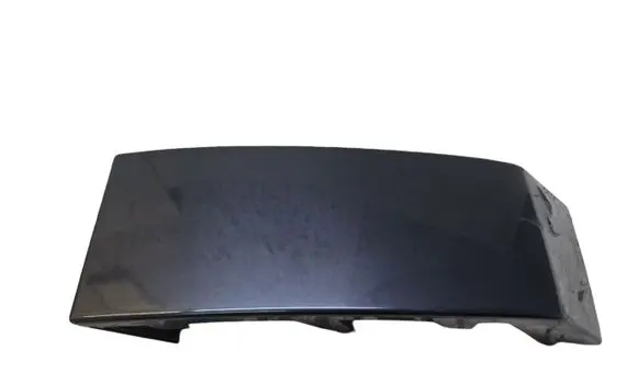 Rear/tail light trim molding
