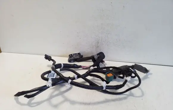 Nissan Leaf I (ZE0) Front door wiring loom 241243NM0B
