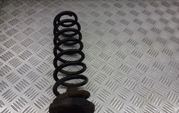 Renault Megane II Rear coil spring
