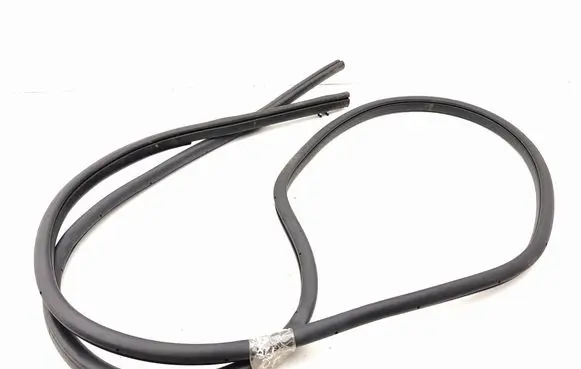 Nissan Leaf II (ZE1) Front door rubber seal 