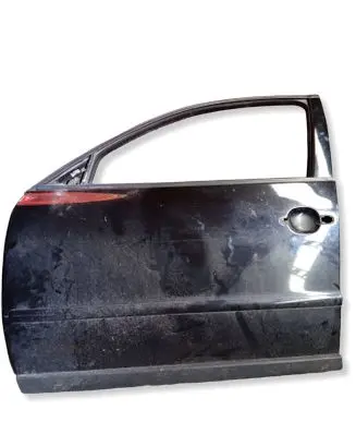 Volkswagen PASSAT B5 Front door