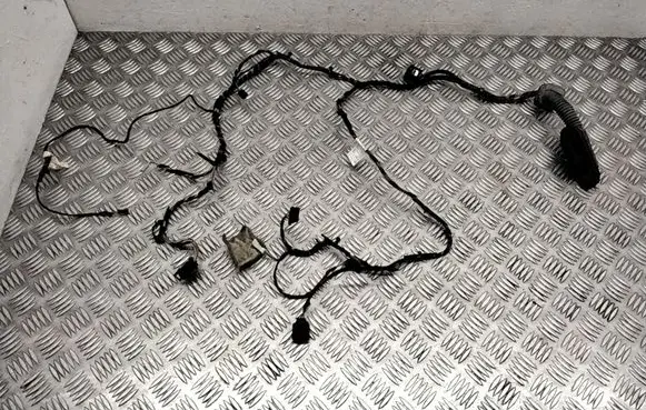 BMW X6 E71 Front door wiring loom 9229763 9203113