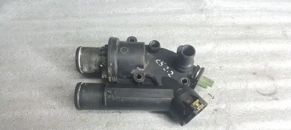 Thermostat/thermostat housing